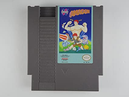 Original NES - Amagon (Used)
