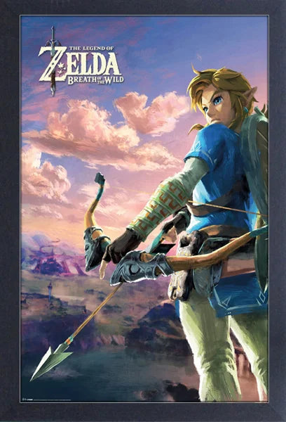 Zelda: Breath of the Wild Link Archer Framed Print
