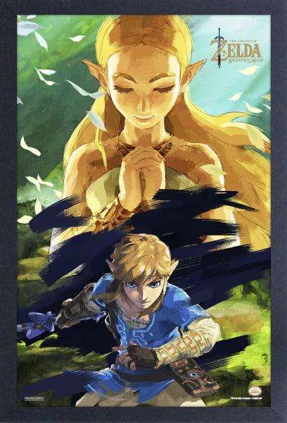 Zelda: Breath of the Wild Zelda & Link Framed Print