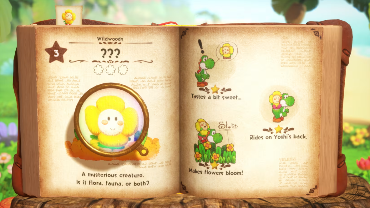 Nintendo Switch 2 - Yoshi and the Mysterious Book (Used)
