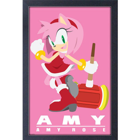Sonic the Hedgehog Amy Modern Character Framed Print