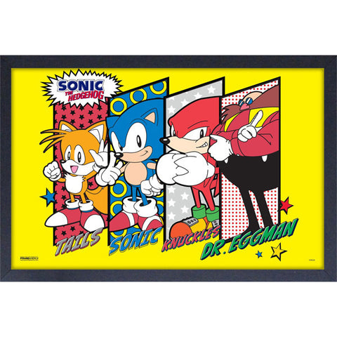 Sonic the Hedgehog Character Lineup Framed Print