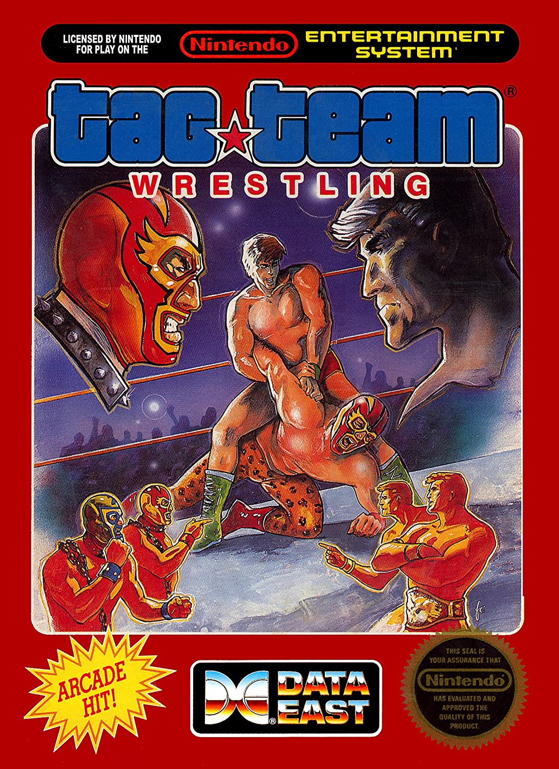 Original NES - Tag Team Wrestling (Used)
